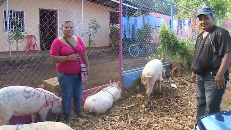 Entregan Bono Productivo Alimentario a mujeres del distrito V